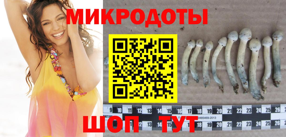Галлюциногенные грибы мицелий  Вход с VPN  Лесозаводск  как найти   Галлюциногенные грибы Psilocybe 