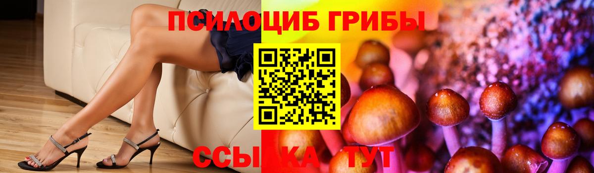 Псилоцибиновые грибы прущие грибы Лесозаводск
